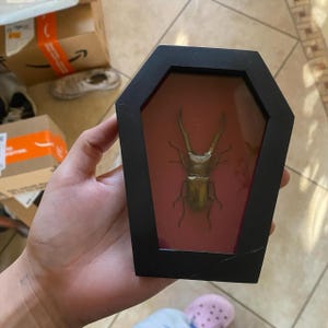 Julissa added a photo of their purchase