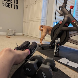 Lizzie added a photo of their purchase