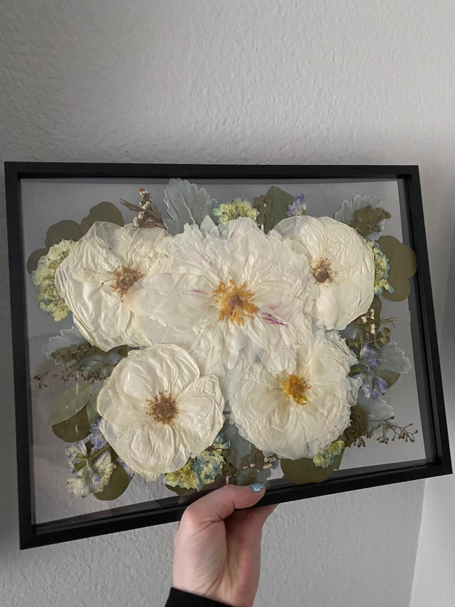 Preserved flowers from Rachel's etsy review