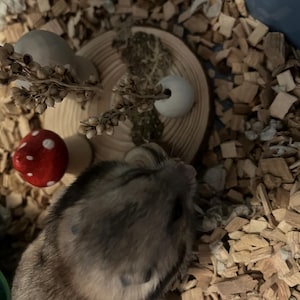 Katie added a photo of their purchase