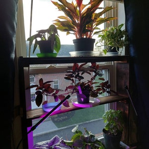 David added a photo of their purchase