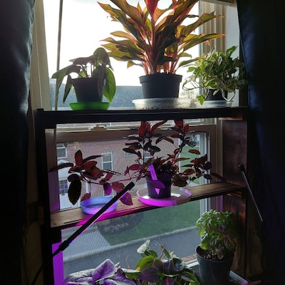 Barred Owl Nesting Box With Solar Powered PIR Wifi Camera Opossum