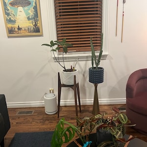 Amber added a photo of their purchase