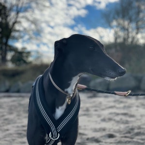 Ellie added a photo of their purchase