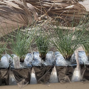 Jeri added a photo of their purchase