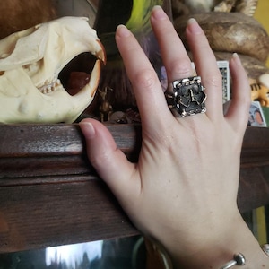 Jamie ha añadido una foto de su compra
