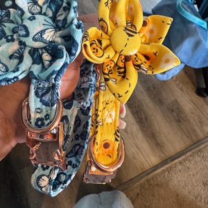 robin さんが購入した商品の写真を追加しました