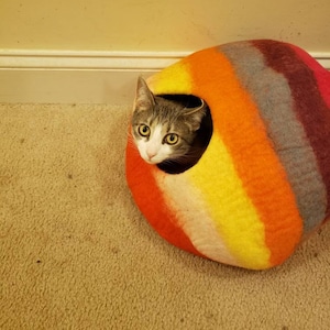 Titus added a photo of their purchase