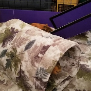 Roberta added a photo of their purchase