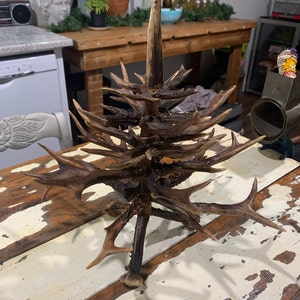 Marjorie added a photo of their purchase
