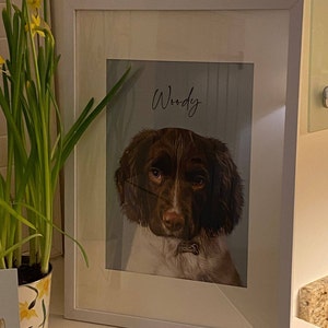 Paula added a photo of their purchase