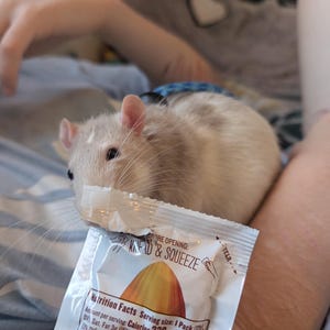 Finn added a photo of their purchase