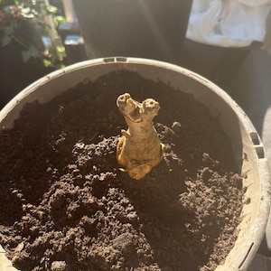 Omar added a photo of their purchase
