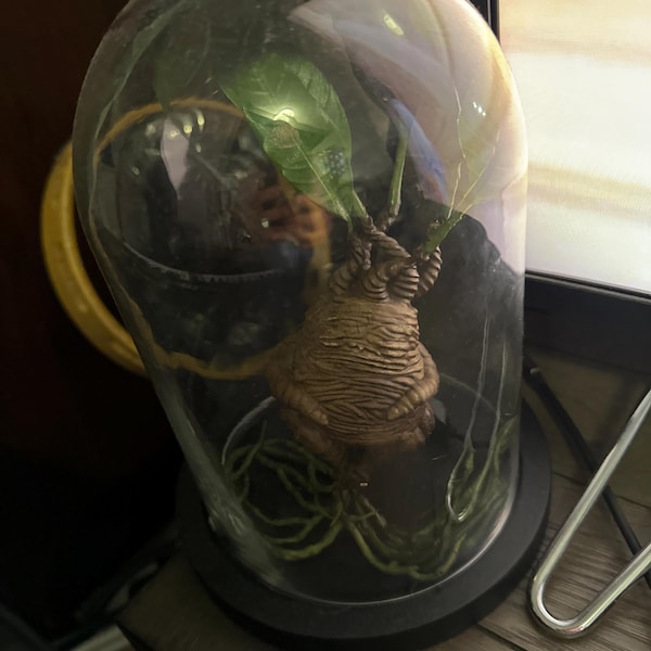 Reproduction of Sleeping Velociraptor 40 Cm in Diameter!! - Etsy UK