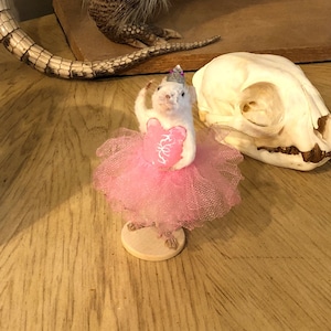 Rob added a photo of their purchase
