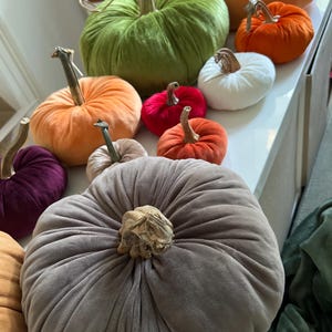Annick added a photo of their purchase