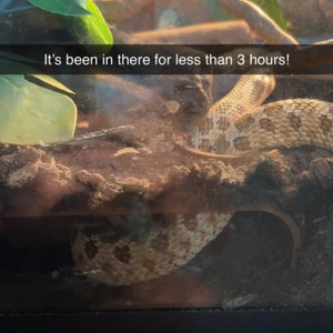 Seyer added a photo of their purchase