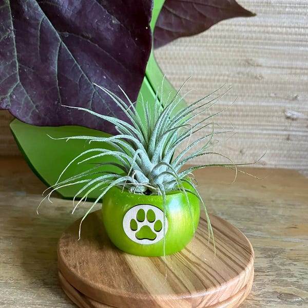 Cute Hammerhead Figurine Baby Shark Model Miniature Shark Hammerhead