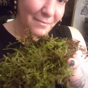 Bean a ajouté une photo de son achat