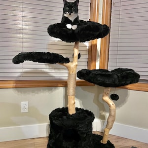 Jolee added a photo of their purchase