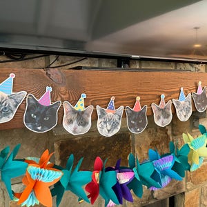 Rachel added a photo of their purchase