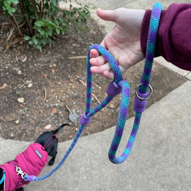 PINK/PURPLE Ropes Professional Climbing Rope Dog Leash, Lead, Slip