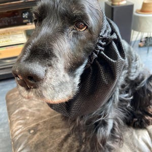 Sandra さんが購入した商品の写真を追加しました