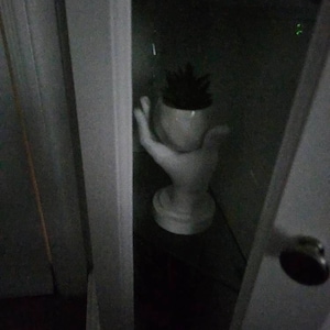 P.R. heeft een foto van de aankoop toegevoegd