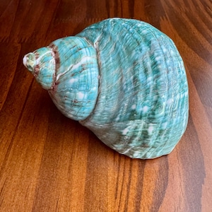 Cordelia added a photo of their purchase
