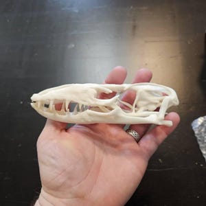 Bradley ha añadido una foto de su compra