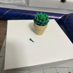 Carly added a photo of their purchase