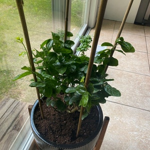 Jonathan added a photo of their purchase