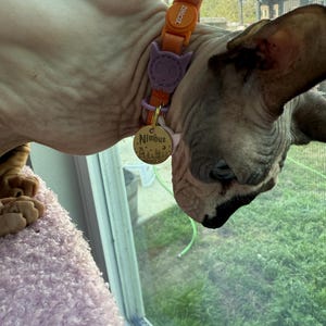 Cass added a photo of their purchase