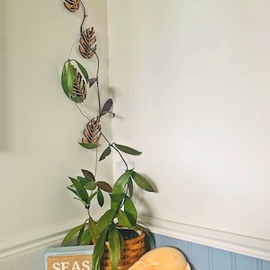 Jennifer added a photo of their purchase