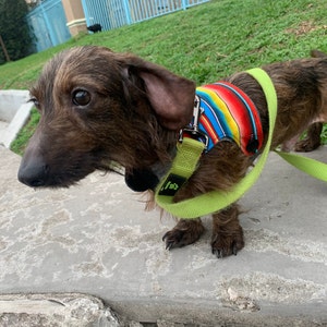 Sonia ha añadido una foto de su compra