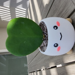 Ram added a photo of their purchase