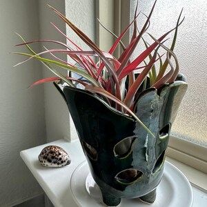 Shawn さんが購入した商品の写真を追加しました