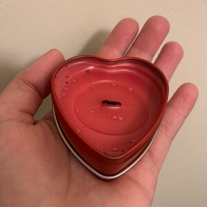 Payton added a photo of their purchase