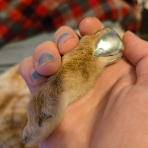 Jeri added a photo of their purchase