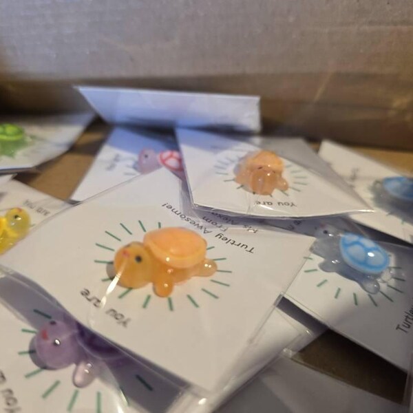 Personalised Teacher to Pupil Class Reward Gift - Turtley Awesome Mini ...