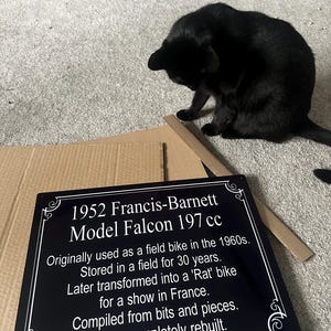 Lauren added a photo of their purchase