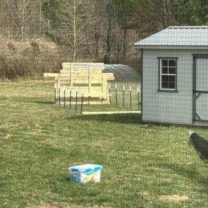 Ty added a photo of their purchase
