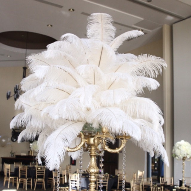 20 Pcs Natural White Ostrich Feathers Plumes 8-10 Inch(20-25 Cm) Bulk For  Party, Easter, Gatsby Decorations