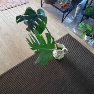 Julianna ha añadido una foto de su compra