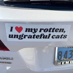 Kitty added a photo of their purchase