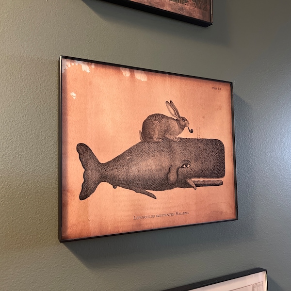 Bunny Rabbit Riding Whale – Vintage Collage Art Print on Tea-stained ...