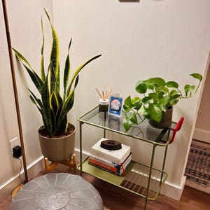 Jennifer added a photo of their purchase