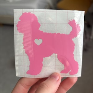 Lucy added a photo of their purchase