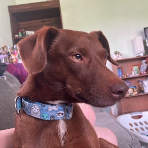 Colleen added a photo of their purchase