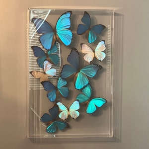 John added a photo of their purchase
